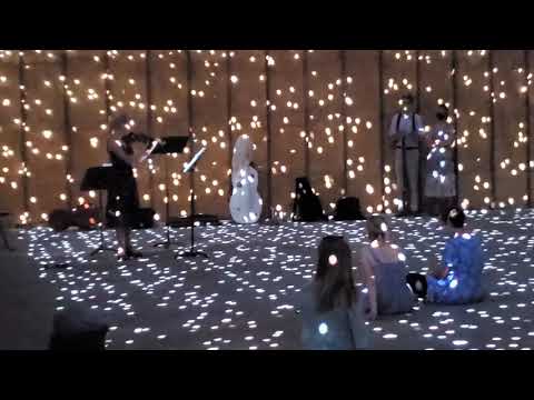 H.I.F. Biber, excerpt from "Passacaglia from Rosary Sonatas," Baroque Music Montana