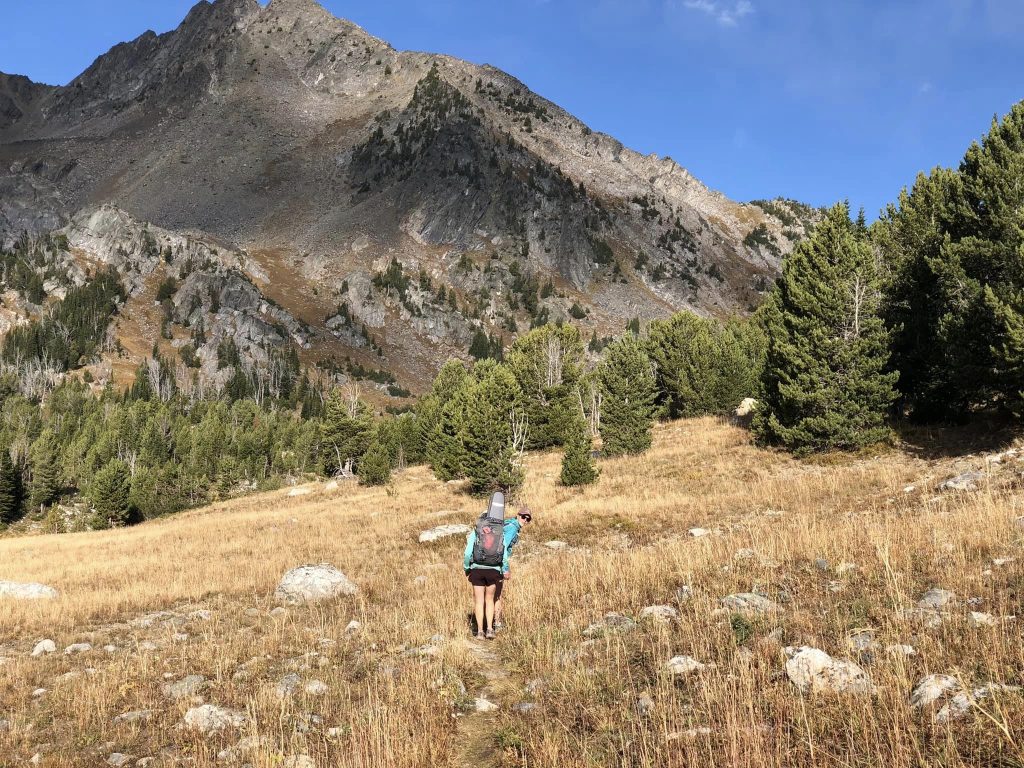 A hiker with a backpack walks through a grassy field towards a mountain, surrounded by tall evergreen trees under a clear blue sky.