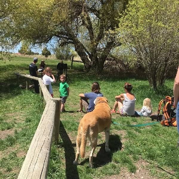 A group of people and a dog relax on the grass near a wooden fence under leafy trees on a sunny day.