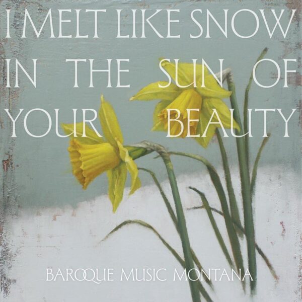 Two yellow daffodils on a pale background with the text "I melt like snow in the sun of your beauty." PRESALE: I Melt Like Snow in the Sun of Your Beauty Vinyl LP.